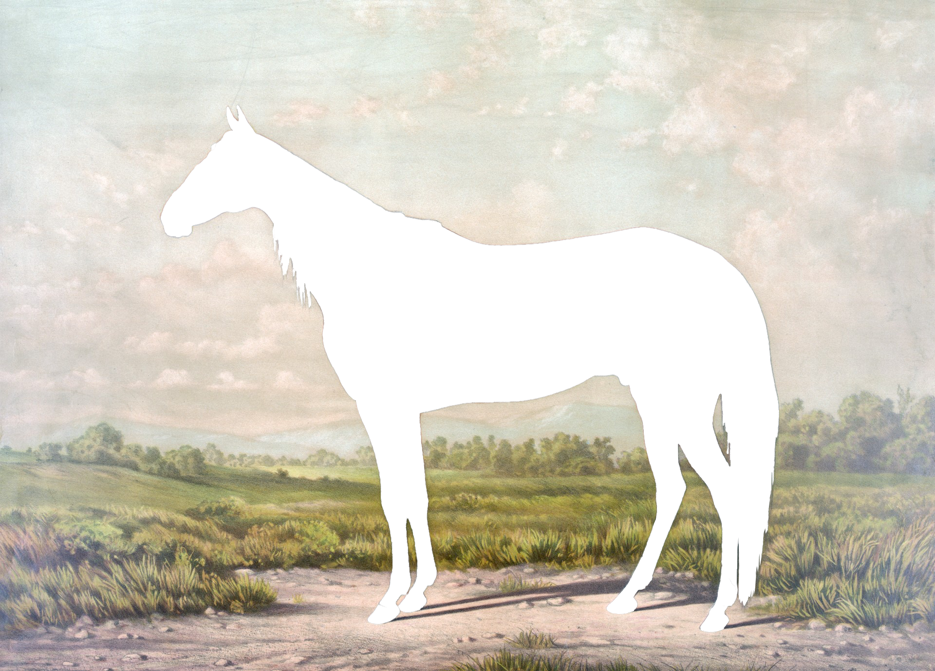 sajak horseman