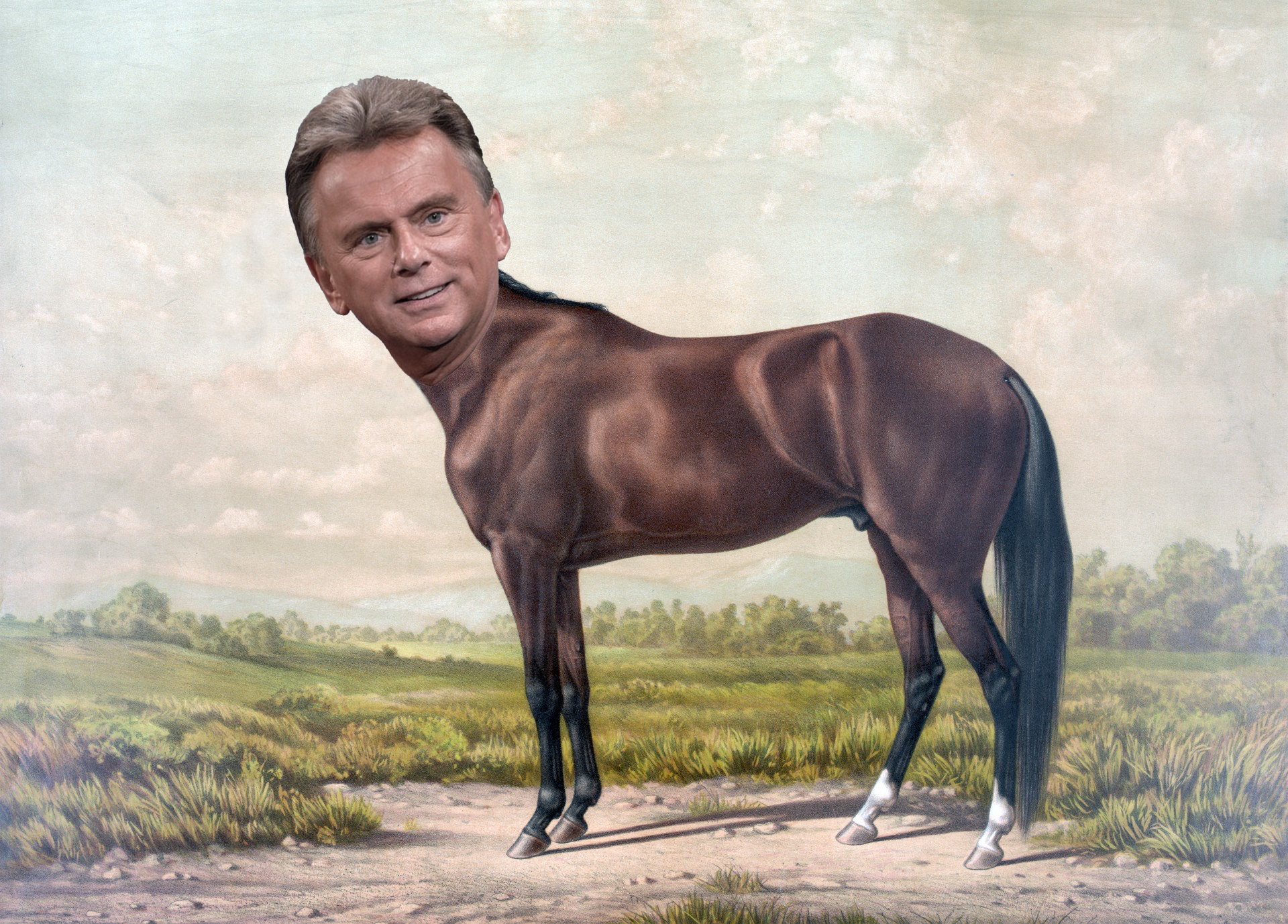 sajak horseman